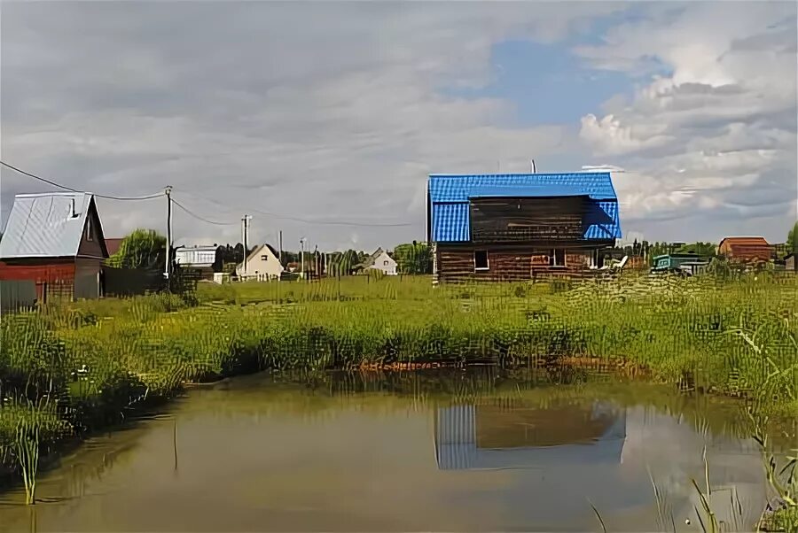 Погода деревня плесенское наро фоминский. Озон деревня плесенское наро фоминск. погода в плесенском наро-фоминск. почему деревня называется плесенское.