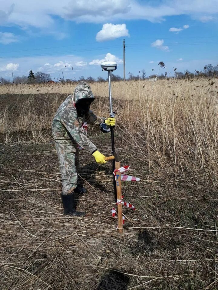 Вынос земельного участка в натуру. Вынос точки на местность геодезия. Вынос на местность границ земельного участка. Вынос точек участка на местности. Геодезические колышки.