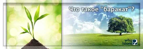 Баракат что означает. Баракат. Баракат картинки. Картинка со словом Баракат. Слова Баракат.