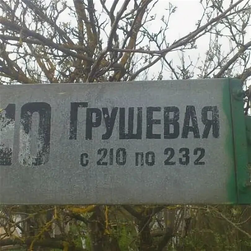 Груша ул шмулевича 41 фото Картинки ШМУЛЕВИЧА ВЛАДИКАВКАЗ