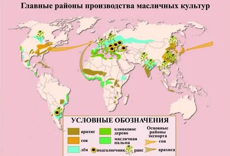 Страны экспортеры масличных культур