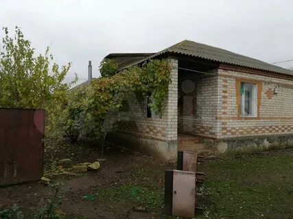 Спицевка