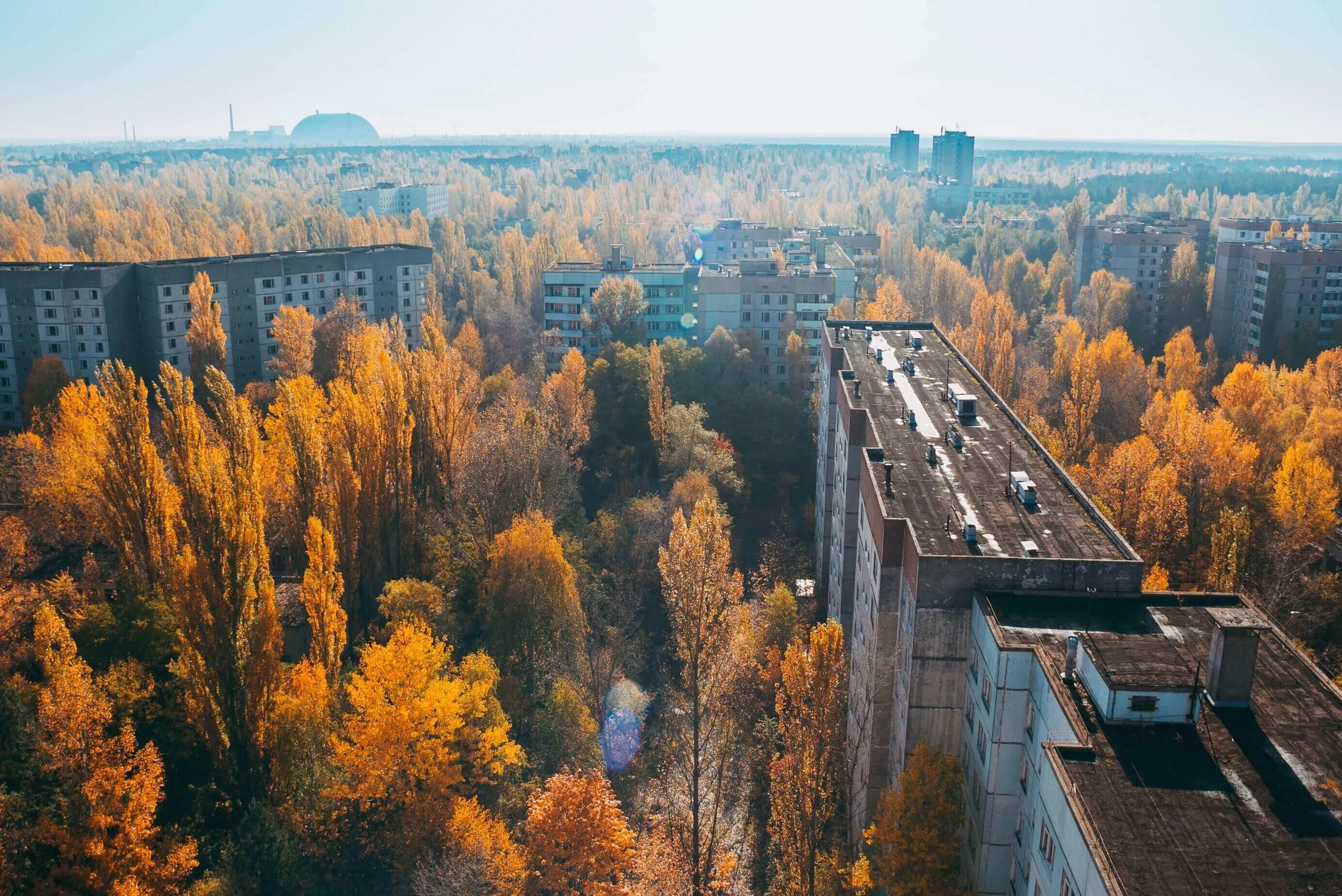 Припять зона отчуждения. Припять Чернобыль ЧАЭС зона отчуждения. Зона отчуждения город Припять. Рыжий лес Чернобыль.