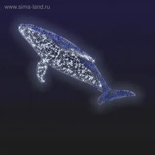 Кит новый год