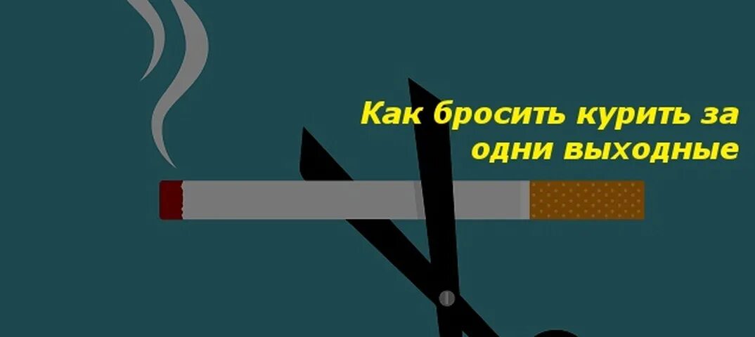 Бросаем курить за 2 вечера. Брось Каку. Так рявкнул брось Каку.