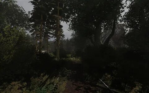 Лесничество припять