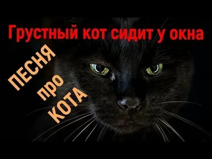 В темноте песня кота
