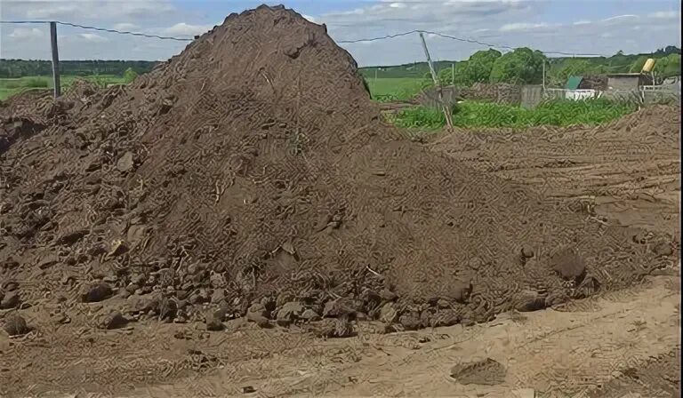 Плодородие почвы калужской области