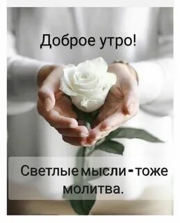 Добрые намерения