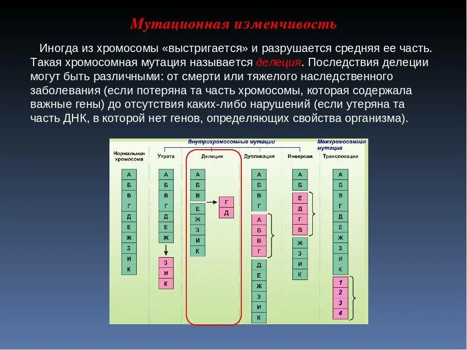Мутации связанные с изменением числа хромосом называются. Типы мутационной изменчивости. мутационная изменчивость. мутационная изменчивость хромосомная. изменение структуры хромосом.