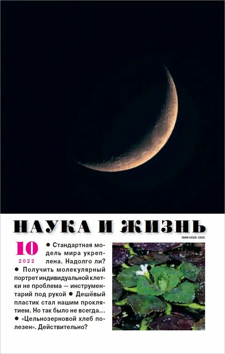 Наука и жизнь 2025. Наука и жизнь журнал 2025. журнал наука. журнал наука и жизнь 9 2025. журнал наука и жизнь лого.