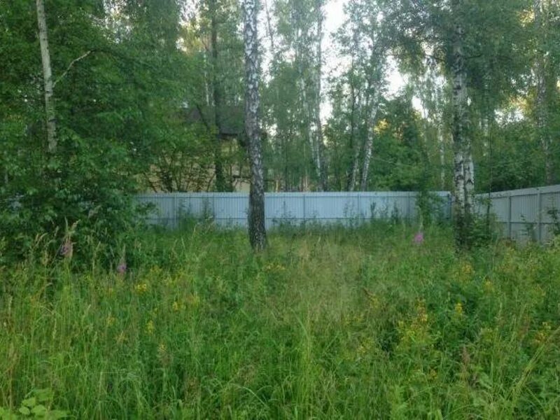 новый быт монастырь давидова пустынь. каскад прудов в чехове. дом чеховский район. управляющая компания земская 14 город чехов. улица гагарина чехов.