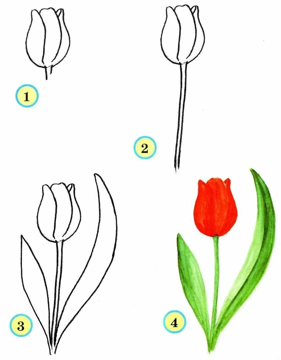 Поэтапное рисование цветка. Тюльпаны рисунок. Рисование цветов для детей. Простые цветы для рисования.
