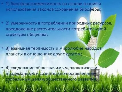 Экологическая философия