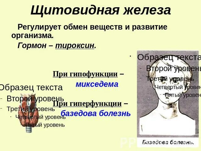 При гиперфункции щитовидной железы основной обмен. Таблица гормоны щитовидной железы гиперфункция гипофункция. гипер и гипофункция гормонов щитовидной железы. гормоны щитовидной железы гипо и гиперфункция. щитовидная железа норма гиперфункция и гипофункция.