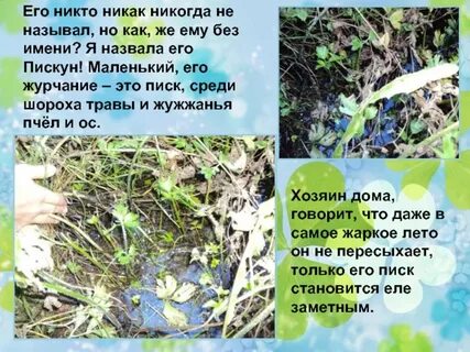 Никогда не называй