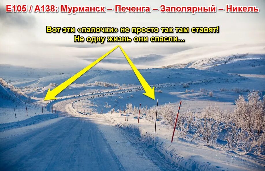Фонды 2 жизнь помощь животным никель заполярный. Дорога мурманск-заполярный. мурманск заполярный никель. маршрутка заполярный мурманск. такси север заполярный мурманск.
