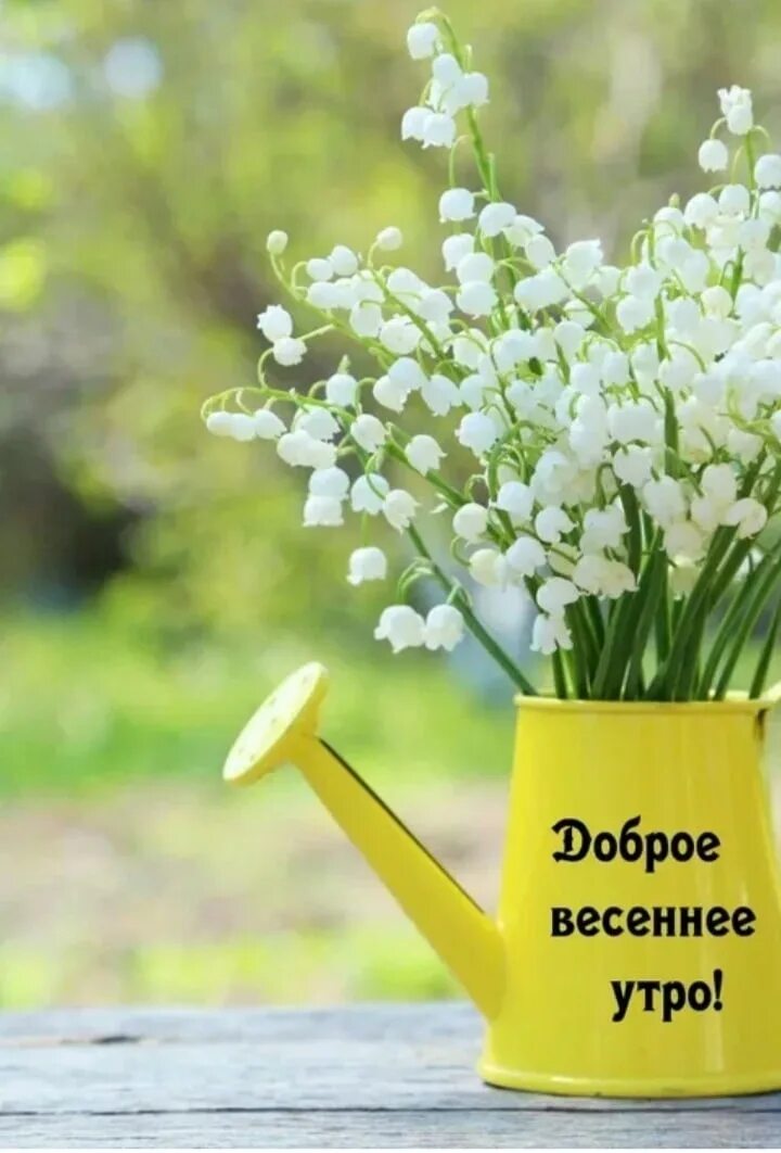 Доброго позитивного весеннего утра картинки позитивные