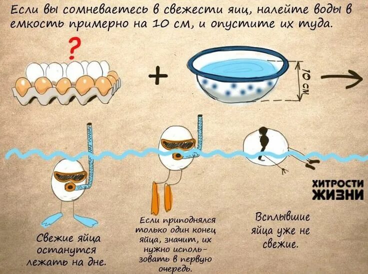 Как проверить свежесть перепелиных яиц в воде