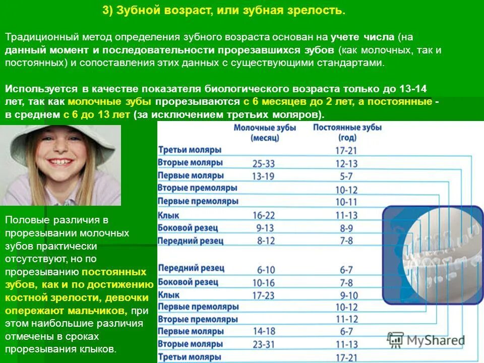 Определить возраст девочки. Оценка зубного возраста. оценка зубного возраста у детей. зубной возраст это определение. зубной возраст используют для определения.
