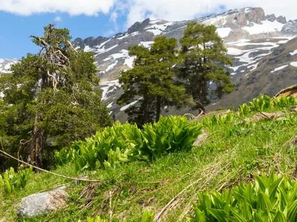 Архыз карачаево черкесская республика