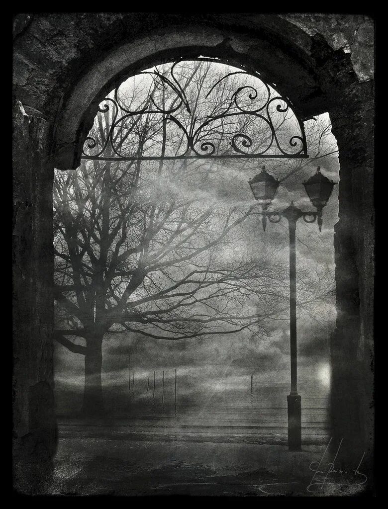 Темная арка. Туманная арка. Черно белая фотография арка. Темные арки в Петербурге тьма.