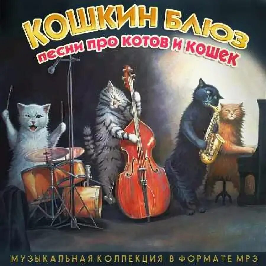 Кошка поет. Коте песни 5. Кошачья песня. Песня про котиков. Котэ песенки.