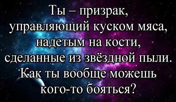 Костя изготовил. Надпись костян. Мы все сделаны из звездной пыли. Цитаты про пыль. Костюм кощей бессмертный.