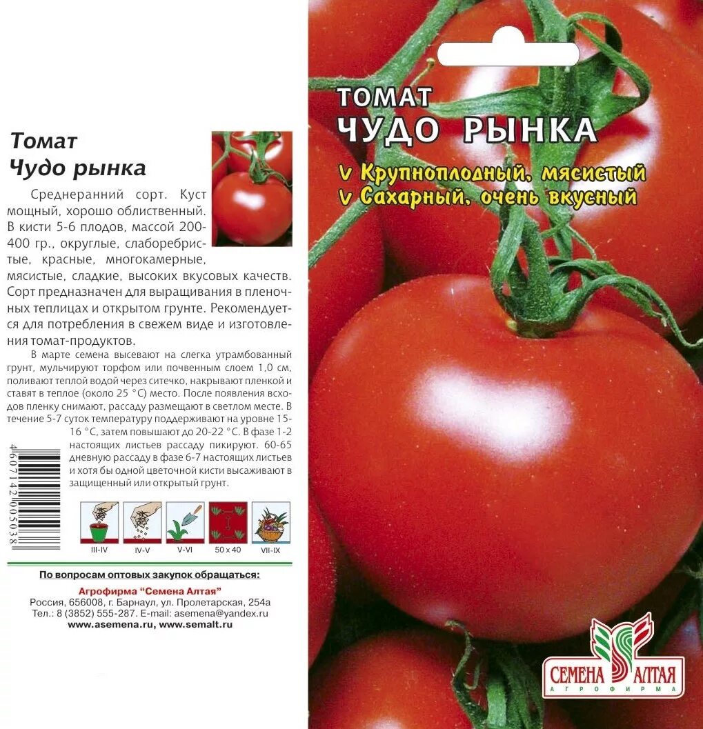 фирма партнер помидоры любаша. семена томат любаша f1 партнер. томат любаша f1 характеристика. семена помидор любаша f1. томат любаша характеристика.