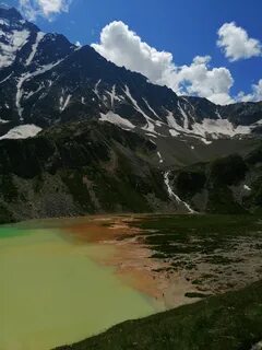 Донгуз кель