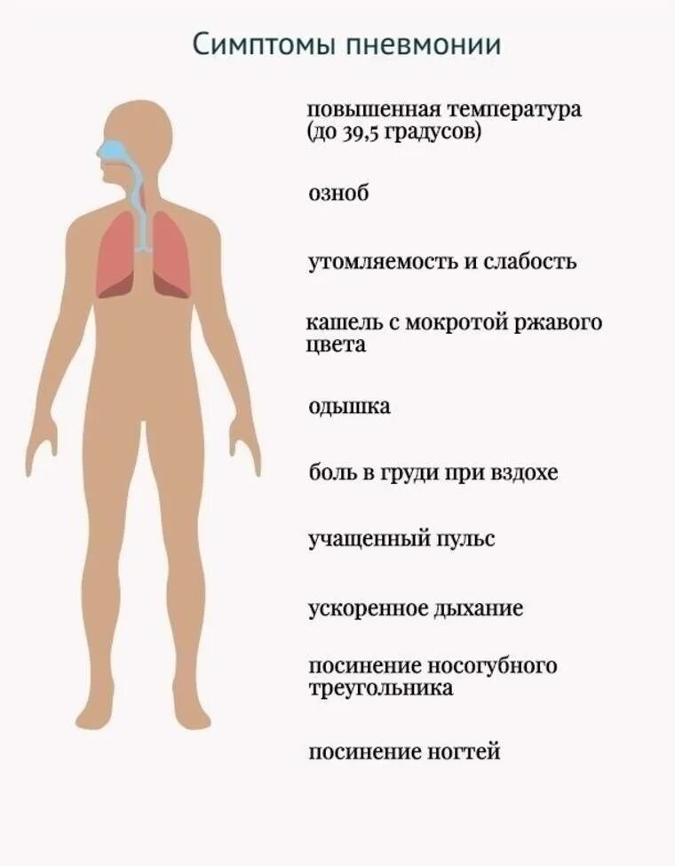 Можно взрослому человеку. Проявления пневмоний симптомы. Пневмония симптомы. Признаки пневмонии. Воспаление лёгких симптомы.
