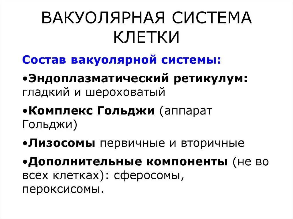 Взаимосвязь органоидов вакуолярной системы клетки. Вакуолярно канальцевая система. Схема вакуолярной системы клетки. Вакуолярная система строение и функции.