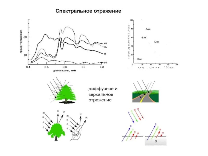 Спектральное отражение. Спектральное и диффузное отражение. Диффузное отражение. Кривая спектрального отражения почвы.