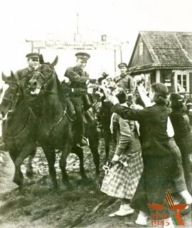 Освободительный поход 1939 года