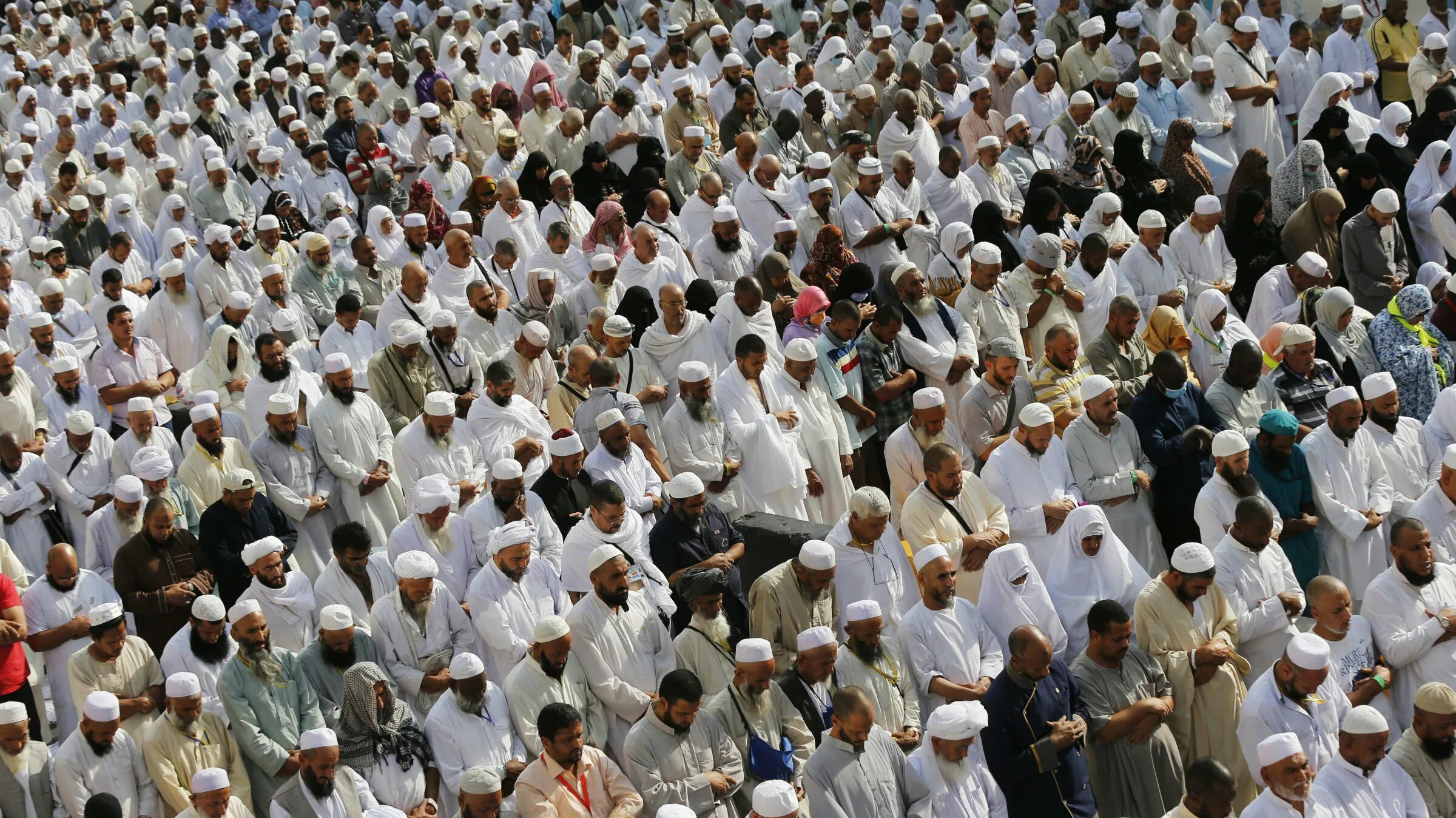 Суннит молится. Столпы ислама в шиизме. Ислам сунниты. Ваххабиты в саудовской аравии. Шииты сунниты и алавиты.