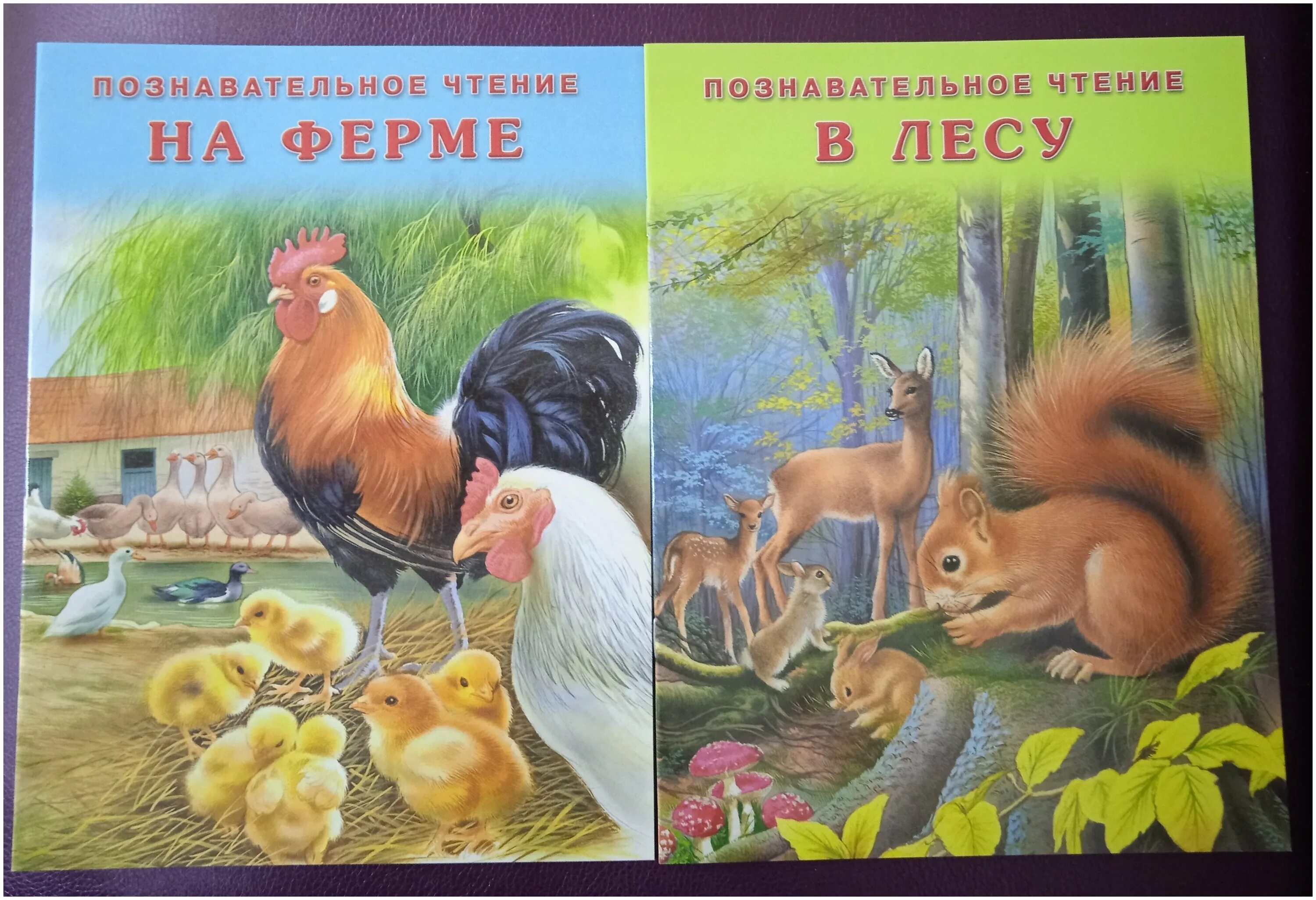 в африке. книжки для детей. дети с учебниками. познавательное чтение. познавательное чтение.