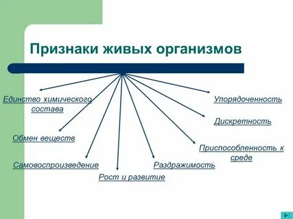 Группа правильных признаков живых существ