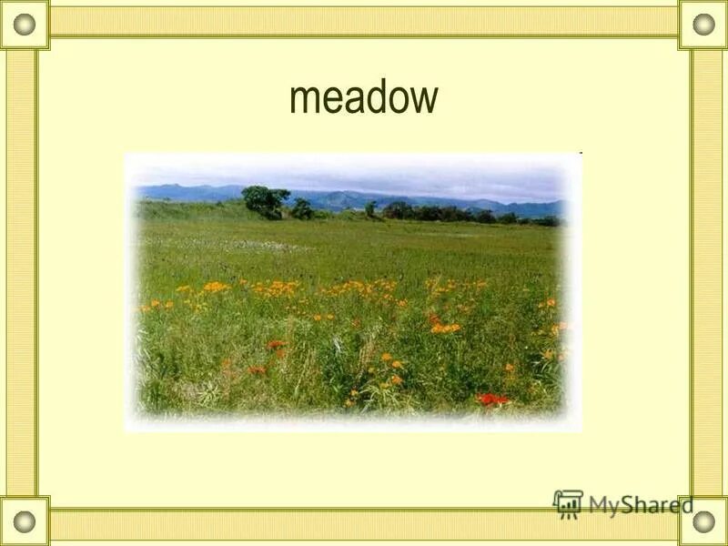 Окружающий мир 4 класс тесты проверочные работы. Тест по 4 класс по окружающему миру. Тест по окружающему миру 4 класс мир. Тест по окружающему миру 4 класс. Вопросы по окружающему миру.