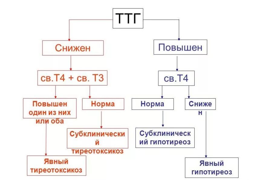 Ттг т3 т4. ТТГ снижен т4 повышен. \Низкий ТТГ высокий т4 т3. ТТГ снижен т3 повышен т4 в норме. Повышен ТТГ И т3.