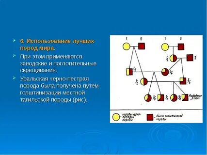 Метод скрещивания 8