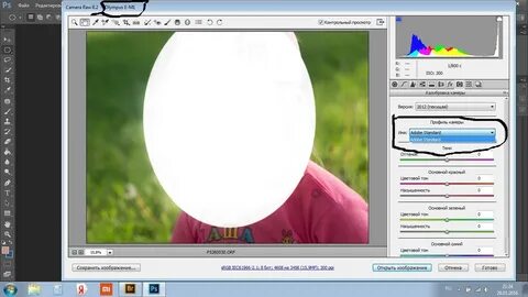 Профили camera raw