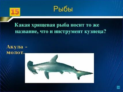 Загадка какая рыба носит