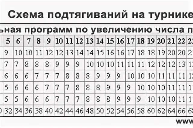 Программа тренировок подтягивания. Схема подтягиваний на брусьях. система по увеличению подтягиваний на турнике. турник для новичков схема тренировок. программа подтягиваний 30 недель.