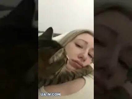 Собаке отлизать перископ