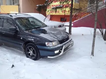 Калдина 1993