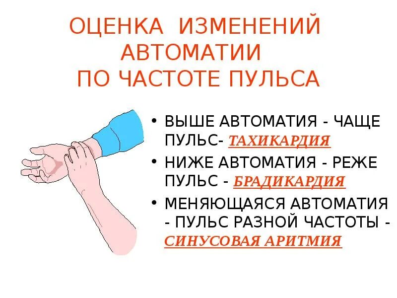 Почему пульс разный. Повышение и понижение пульса названия. Сердцебиение высокое причины. Повышенный пульс как называется. Причины пониженного пульса.