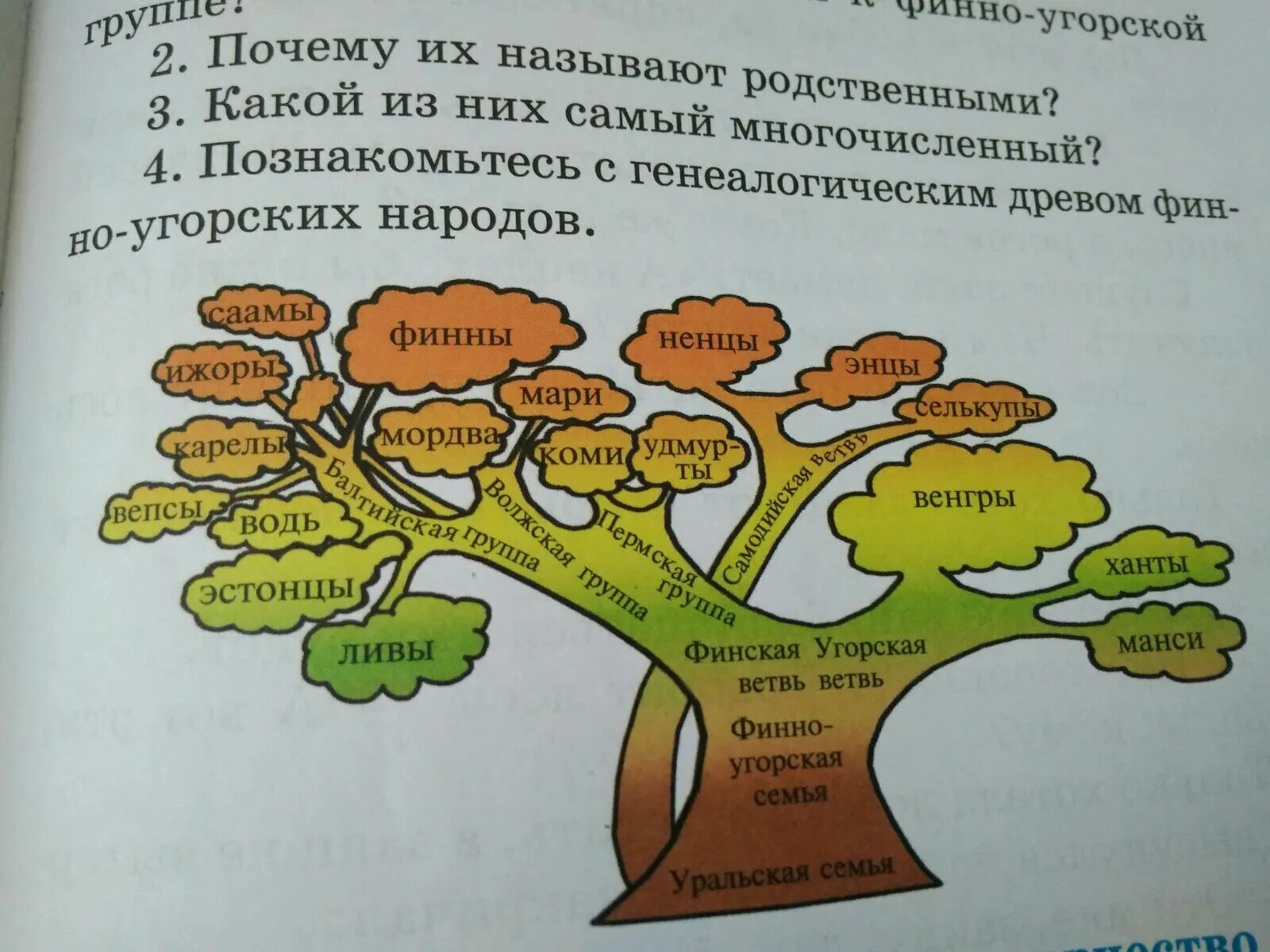 Проживание двух народов финно угорской языковой группы