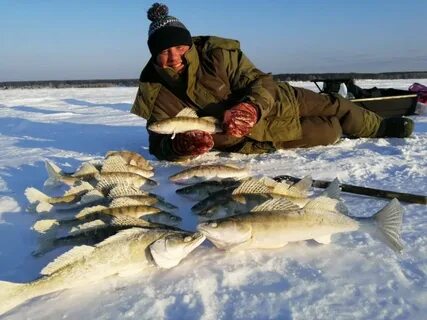 Царский улов волгодонск
