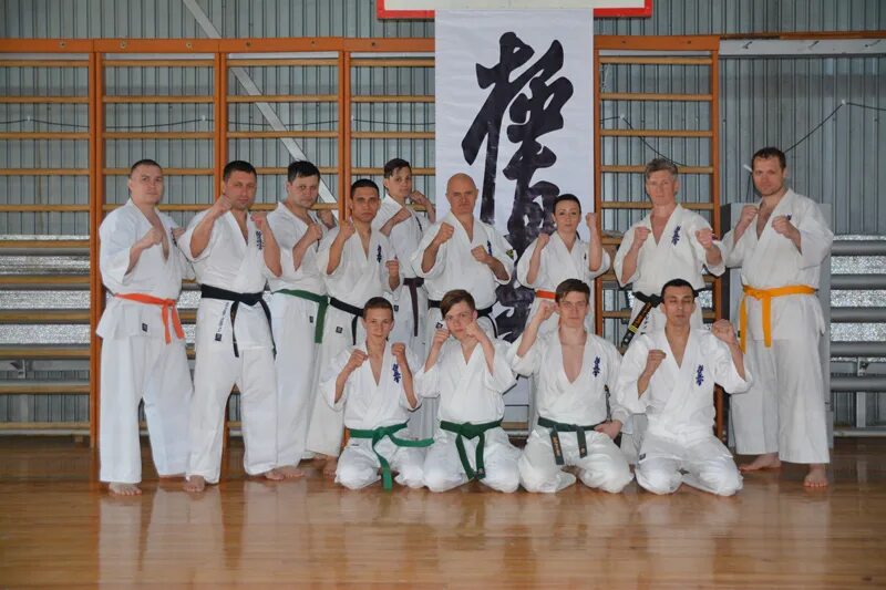 10 карате. Американ каратэ. Черный пояс карате. Стив арнейл каратэ кекусинкай. 10 карате.