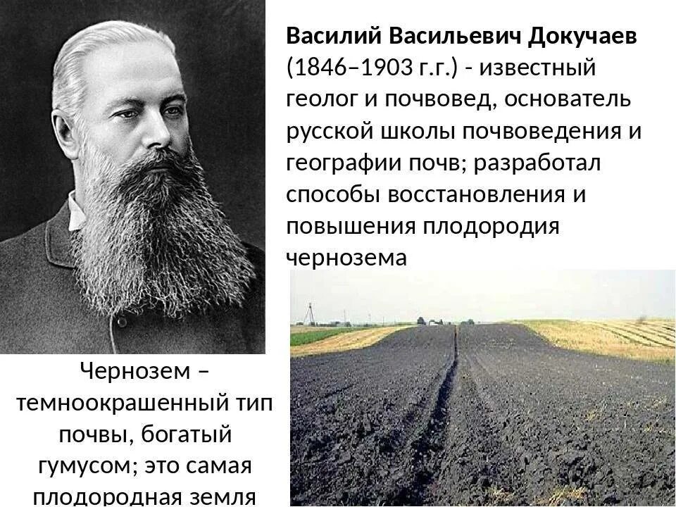 Докучаев назвал почву зеркалом природы какие компоненты. Докучаев назвал почву зеркалом природы какие компоненты